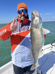 Lake St. Clair delivers again!